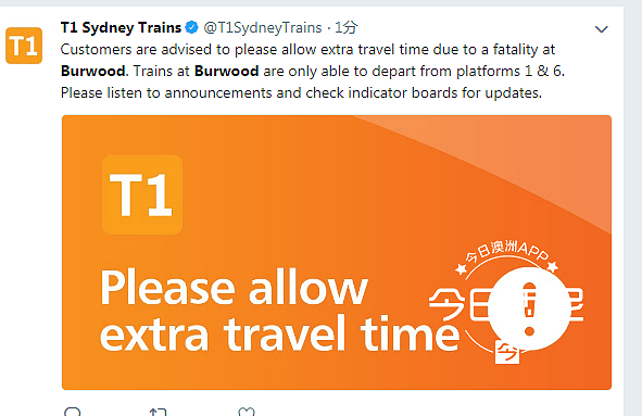 悉尼Burwood火车站昨晚发生死亡事故，网友曝称卧轨（组图） - 5