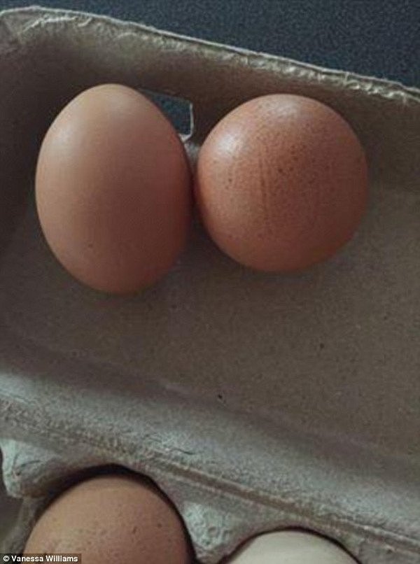 澳女养了20只鸡，有一天，她发现了一枚奇异的鸡蛋！专家：出现概率仅十亿分之一！（组图） - 1
