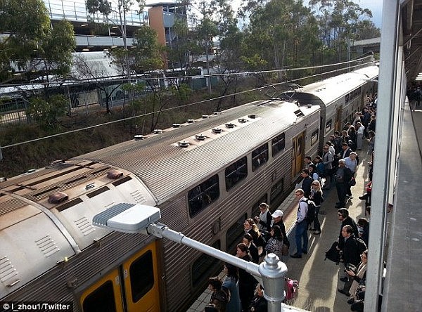 崩溃！悉尼城铁今早陷入一片混乱！逾150趟列车服务取消！大量乘客滞留站台，背后原因竟是...（组图） - 3