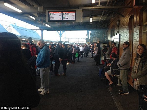 崩溃！悉尼城铁今早陷入一片混乱！逾150趟列车服务取消！大量乘客滞留站台，背后原因竟是...（组图） - 5