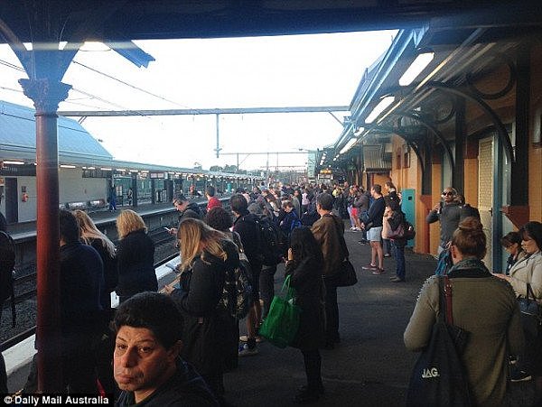 崩溃！悉尼城铁今早陷入一片混乱！逾150趟列车服务取消！大量乘客滞留站台，背后原因竟是...（组图） - 6