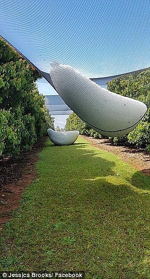 悉尼机场航班严重延误！暴雨及100km/h狂风肆虐！“超级风暴”席卷澳洲东海岸（组图） - 6