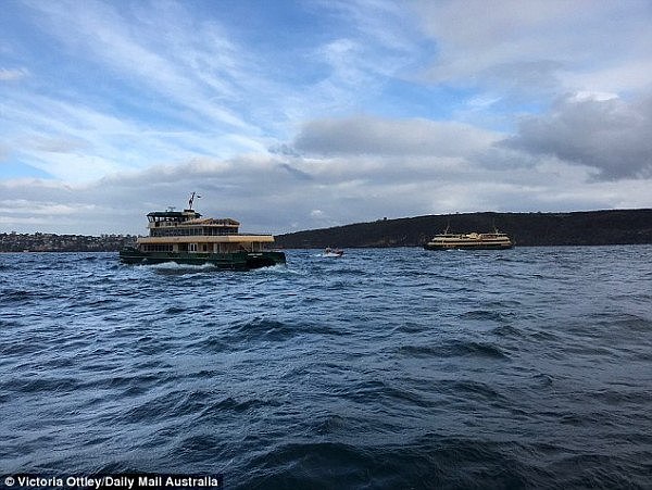 悲剧！渡轮乘客今晨在悉尼港跳海自杀，尸体已被打捞上岸（组图） - 2