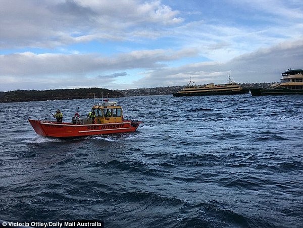 悲剧！渡轮乘客今晨在悉尼港跳海自杀，尸体已被打捞上岸（组图） - 3