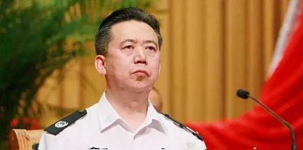 棱镜：孟宏伟抛弃30年原配，新欢吃药生龙凤胎（组图） - 1