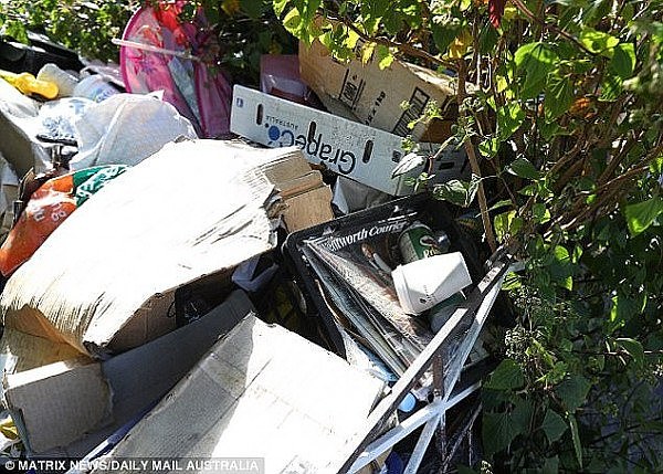 花$200万买个垃圾堆？悉尼最奇葩的“垃圾屋”又双叒叕要挂牌啦！（组图） - 5