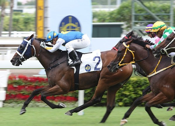 澳洲殿堂练马师麦菲文 到港一年处境水深火热 - 3