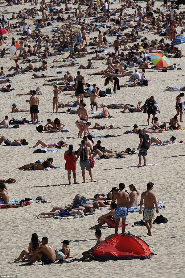 气温飙升至40度，澳洲各地海滩被挤爆！火辣“热”图来一波（组图） - 1