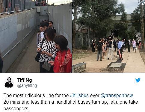 悉尼Hillsbus几乎瘫痪！乘客排起数十米长龙 官方回应：司机临时罢工（组图） - 3