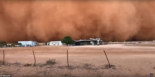 澳洲吹起沙尘暴如同世界末日！男子开车强闯沙墙惊呆网友（组图/视频） - 5