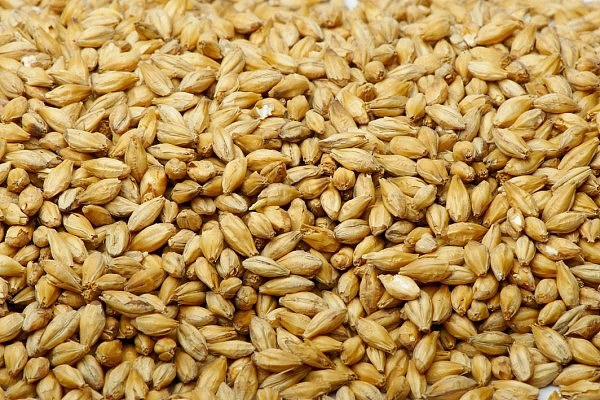Barley-Australia.jpg,0