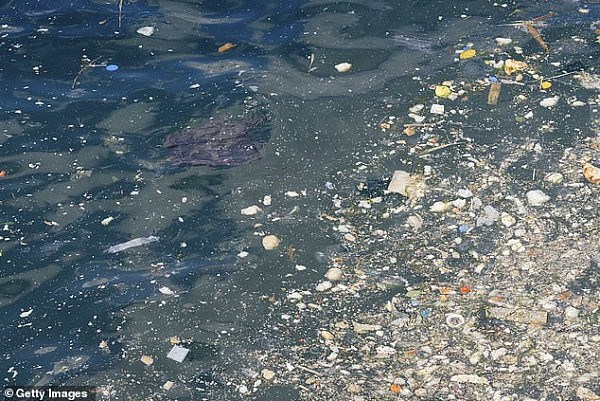比塑料袋更“毒”！这样东西成澳洲海洋严重污染源！需5年才能分解（组图） - 6