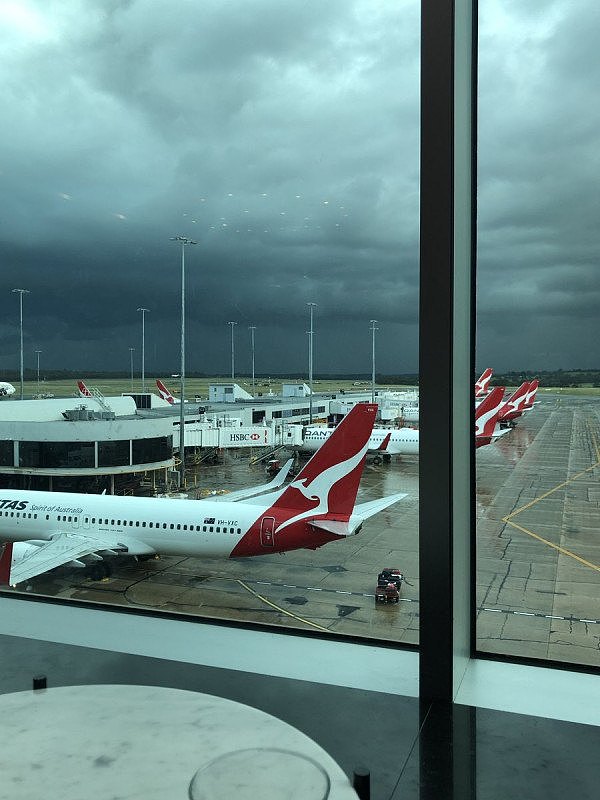 墨尔本往返悉尼多个航班取消！或持续一整天（图） - 2