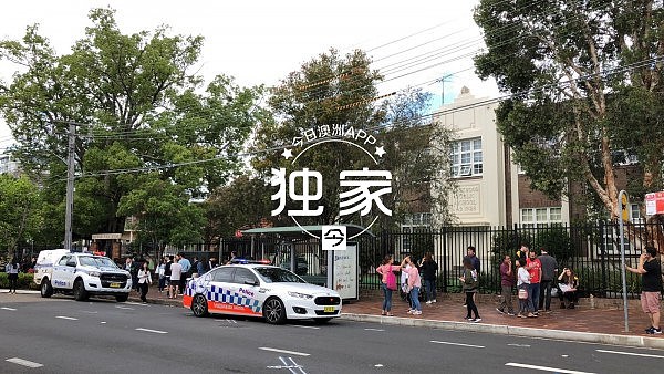 未成年偷车贼避捕撞入华人区小学！学校紧急封锁，大批警员搜捕，警犬直升机出动（组图） - 6