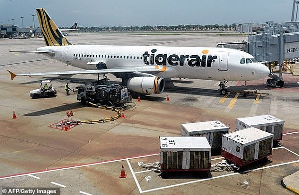 7352738-6489515-Tigerair_passengers_were_left_stranded_at_an_airport_for_25_hour-a-8_1544652137699.jpg,0