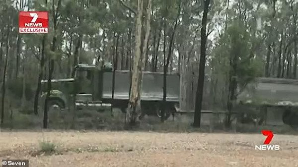 残忍！150匹野马被澳军直升机射杀 当地民众：这是屠杀！（组图/视频） - 2