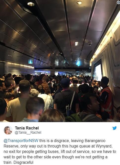 跨年夜悉尼城铁大瘫痪，部分乘客损失数千澳元！城铁CEO：正在考虑退款（组图） - 7