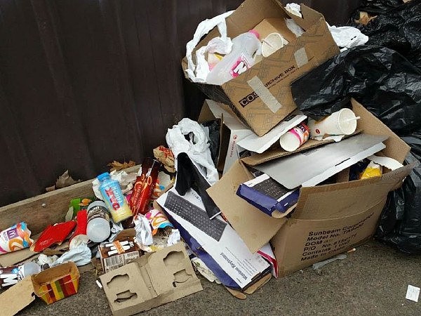 拼了！澳洲议会人员为找出乱扔垃圾者 翻找垃圾桶查找有用信息 （图） - 4