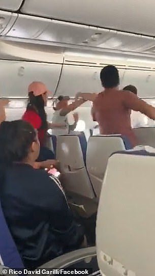 空中大乱斗！乘客突然“发疯”，飞新加坡航班迫降悉尼（视频/组图） - 4