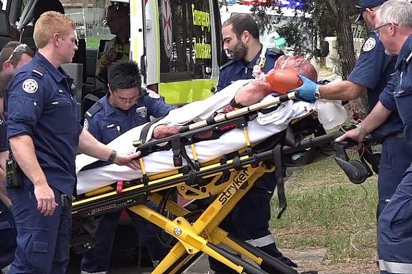 恐怖！悉尼发生恶犬伤人事件 3人被咬伤紧急送医（组图） - 1