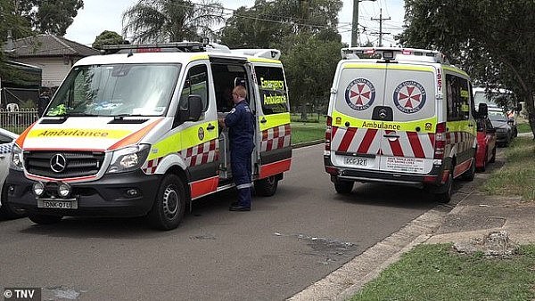 恐怖！悉尼发生恶犬伤人事件 3人被咬伤紧急送医（组图） - 4