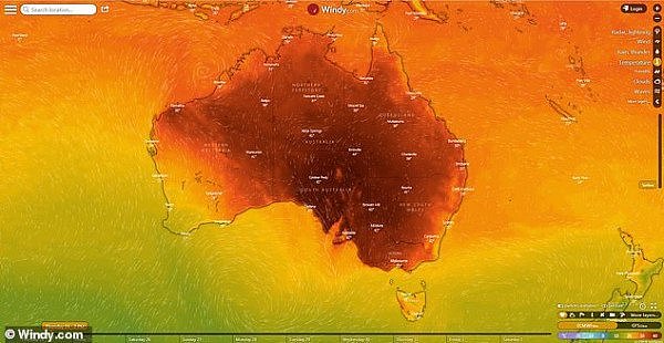 点赞！澳洲气温持续飙升，酒吧老板免费提供啤酒解暑（组图/视频） - 5