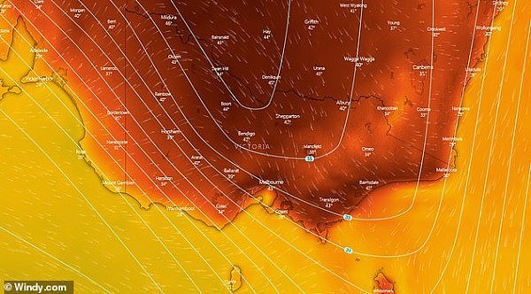 注意！澳洲气温飙升将增加疾病风险 已有百人因高温事故入院 - 3