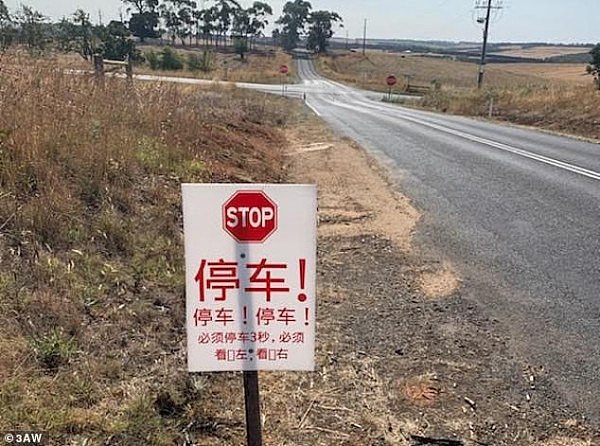 中国女司机持中国驾照在澳开车撞人！澳人竖中文路牌，呼吁强制路考（组图） - 3