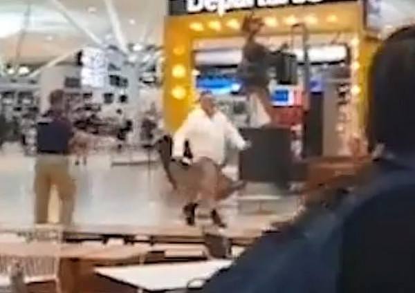 “炸弹”照片曝光！中东男子威胁要炸布市机场被捕 警方：不是恐袭（视频/组图） - 1