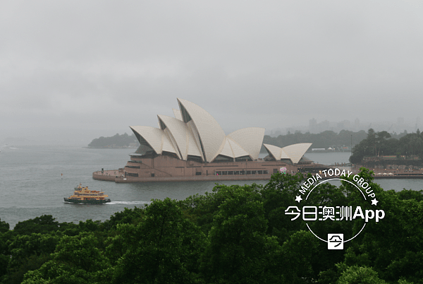 雨天攀登悉尼海港大桥感受别样风情   大桥之巅张灯结彩共庆新春佳节（视频/组图） - 4