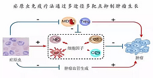 QQ截图20190206100050.png,0