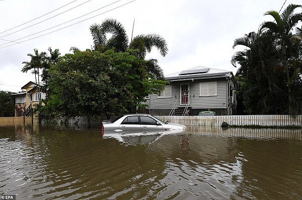 上千幢房屋严重受损，大量牲畜死亡！昆州洪灾已造成上亿澳元经济损失（视频/组图） - 5
