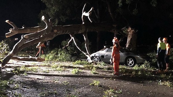 几万家庭断电，十字路口成湖泊！昨晚悉尼突降大雨，市区“看海”（组图） - 6