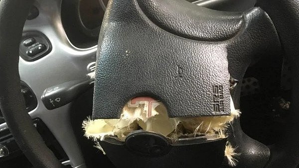 维州司机们用牛奶箱、水桶当座椅开车上路 警员狠批：愚蠢至极（组图） - 7