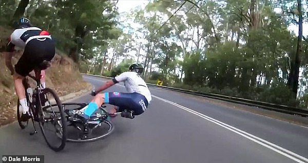 澳洲四名骑手连环追尾 部分骑手骨折 肇事者竟是一只猫（视频/图） - 2