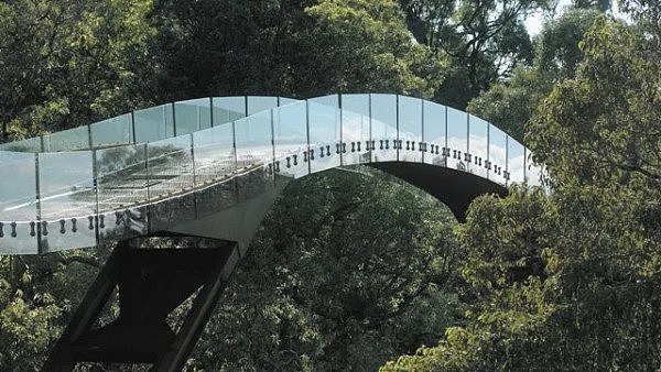 墨尔本市内公园或将建设树间吊桥 植物园或得到扩建（图） - 3