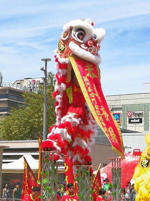 温鑑良率众弟子展示实用咏春拳 柔功门醒狮表演梅花桩技惊四座 - 9