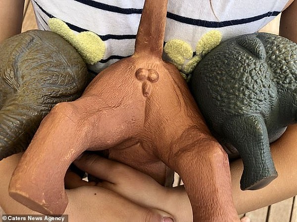 澳洲妈妈强烈谴责狮子玩具上的“雄性生殖器” 呼吁Kmart将其下架（图） - 1