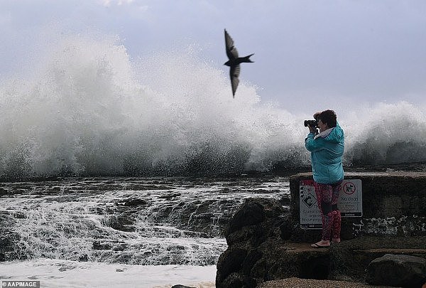 超强气旋Oma来袭！澳洲知名海滩或被“吹跑” 气象局警告民众不要下海（组图） - 4