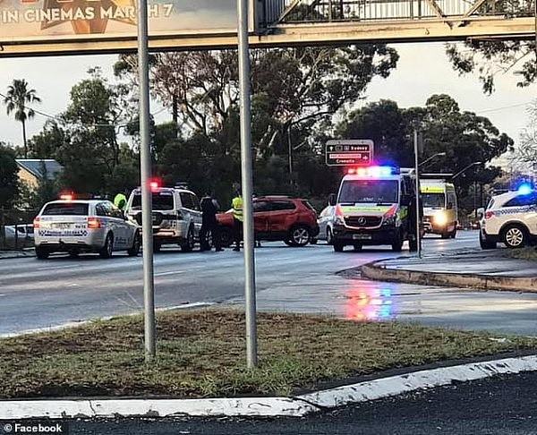 悉尼高速路上演追捕大戏，司机差点被爆头！警察砸玻璃，司机直接被摁到地上！（视频/组图） - 2
