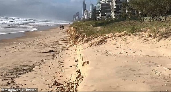 海滩被“吃掉大半”！昆州海滩遭遇40年来最严重的侵蚀 大片沙丘被吞没 - 2