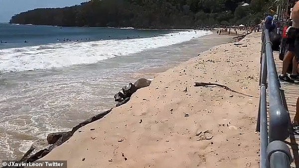 海滩被“吃掉大半”！昆州海滩遭遇40年来最严重的侵蚀 大片沙丘被吞没 - 5