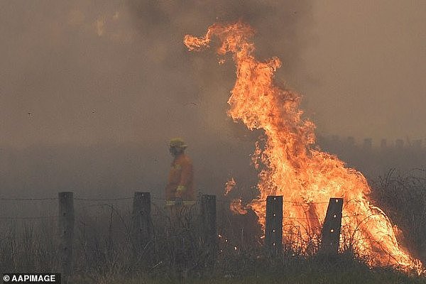 维州山火肆虐数万公顷土地被烧毁，一只绑在篱笆上羊幸运存活（图） - 5