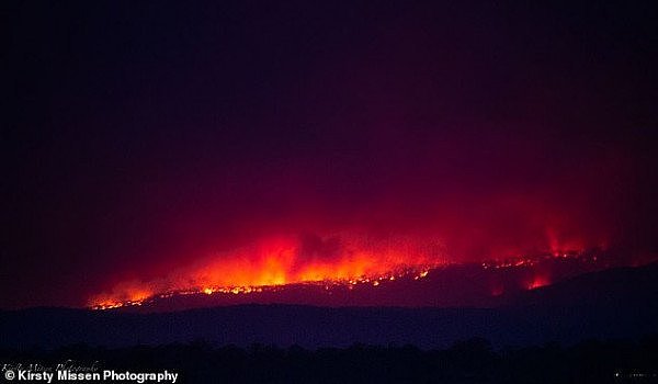 维州山火肆虐数万公顷土地被烧毁，一只绑在篱笆上羊幸运存活（图） - 7