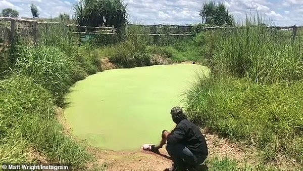 快跑！千钧一发之际，澳男从鳄鱼嘴里“虎口脱险”（视频/组图） - 1