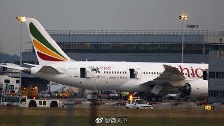 无人生还！埃航客机坠毁，机上157人全部遇难，含8名中国乘客（组图） - 17