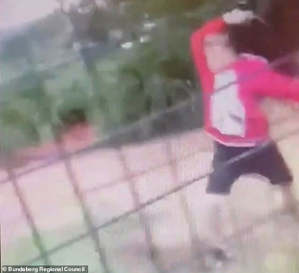 痛心！澳男孩为取乐虐待动物 爬进动物园围栏对其进行“攻击”（组图/视频） - 1