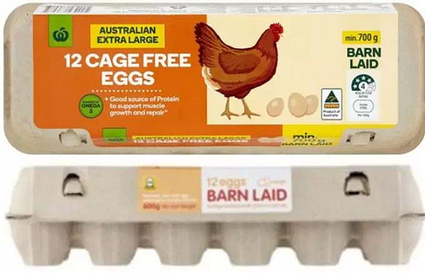 已有5人被感染！澳部分鸡蛋染上沙门氏菌 数十万只母鸡被处理 - 2