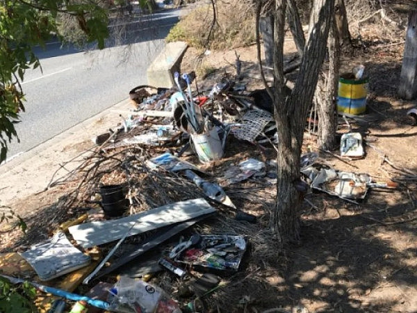 墨尔本地区乱丢垃圾、停车困难、涂鸦问题投诉持续增加（图） - 10