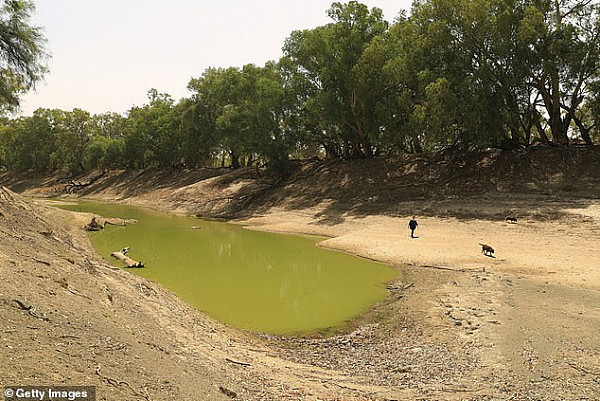 居民怒了！澳著名河流长期干涸，一年损失数百亿，住户被迫用藻类洗澡（视频） - 4